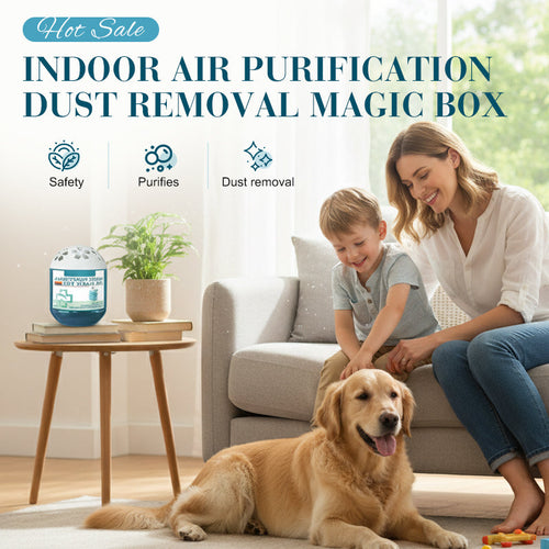 🎉 New Year Special: 50% Off 🎉 Indoor Air Purification & Dust Removal Magic Box 🏠🌿 – Child‑Safe 💕