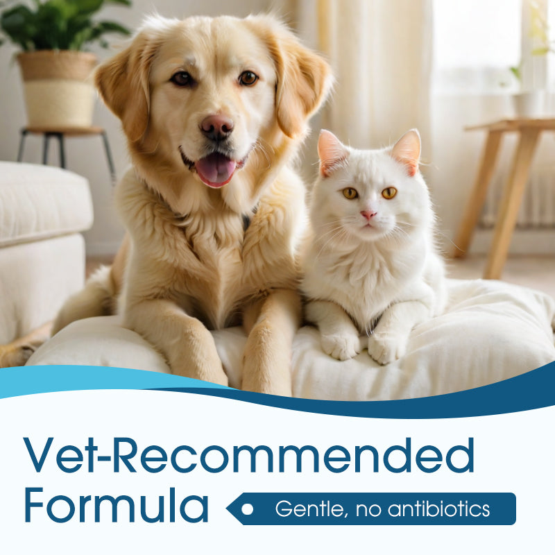 Official Store💕 Advanced Anti-Itch Ear Cleaner for Dogs & Cats